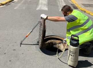 Alaquàs continua realitzant actuacions setmanals per al control complet de plagues de mosquits, rosegadors i paneroles