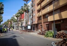 Torrent inicia la poda i raspallat de palmeres en diversos carrers de la ciutat