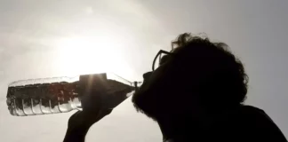 Estas son las recomendaciones a seguir para combatir una ola de calor