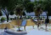 Así será el espectacular nuevo jardín en Doctor Manuel Candela