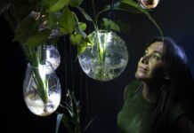 El IVAM presenta una acción sonora en torno a la instalación inmersiva ‘Radix’, dirigida por la artista Tania Candiani