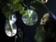 El IVAM presenta una acción sonora en torno a la instalación inmersiva ‘Radix’, dirigida por la artista Tania Candiani