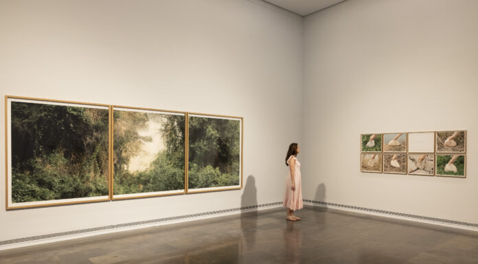 El IVAM recorre la historial visual de l’Albufera desde el siglo XIX a través de una exposición