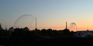 Paterna activa els seus canons d'aigua intel·ligents amb regs preventius per a protegir la Vallesa durant l'onada de calor