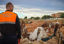 Protecció Civil de Torrent celebra 44 anys de servici amb una memòria de 2025 marcada per la DANA Protecció Civil de Torrent