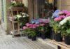 Quart de Poblet reconeix amb premis de fins a 600 euros l’ús del valencià en els comerços locals Floristeria de Quart de Poblet
