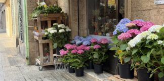 Floristeria de Quart de Poblet