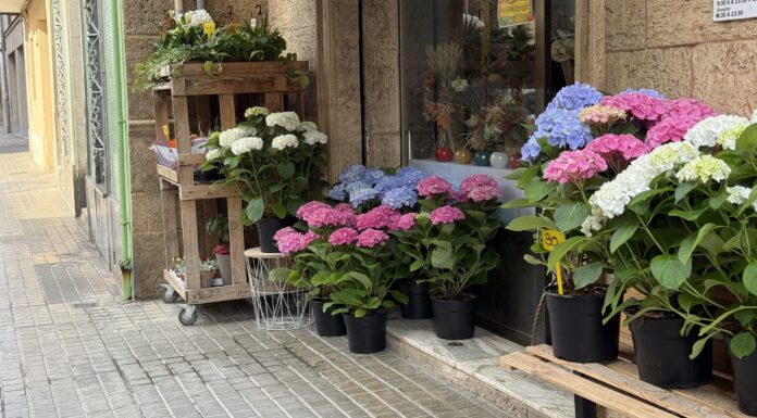Floristeria de Quart de Poblet