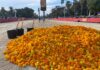 Más de 1,2 millones de clavelones se lanzarán este domingo en la Batalla de Flores