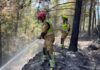 El incendio forestal de la Vall d’ Uixó ya está estabilizado