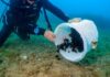 Sueltan 1.800 erizos de mar en el Cabo de San Antonio