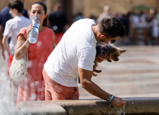 ¿Tengo que ir a trabajar si hay alerta roja por calor en Valencia? Esto dice el permiso climático