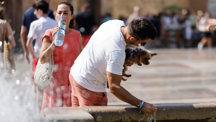 7televalencia-calor ¿Tengo que ir a trabajar si hay alerta roja por calor en Valencia? Esto dice el permiso climático