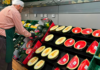 Consum impulsa la campaña de melón y sandía con 24.000 toneladas de producto 100% nacional Consum impulsa la campaña de melón y sandía con 24.000 toneladas de producto 100% nacional