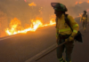 Cómo actuar para sobrevivir en un gran incendio forestal como el de Los Gallardos Cómo actuar para sobrevivir en un gran incendio forestal como el de Los Gallardos