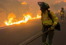 Cómo actuar para sobrevivir en un gran incendio forestal como el de Los Gallardos Cómo actuar para sobrevivir en un gran incendio forestal como el de Los Gallardos