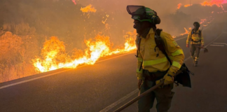 Cómo actuar para sobrevivir en un gran incendio forestal como el de Los Gallardos