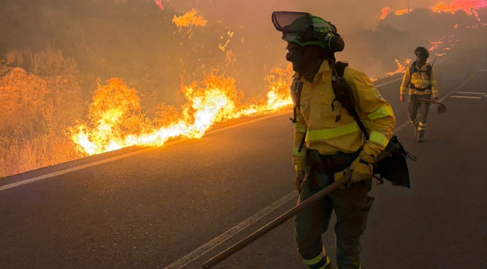 Cómo actuar para sobrevivir en un gran incendio forestal como el de Los Gallardos Cómo actuar para sobrevivir en un gran incendio forestal como el de Los Gallardos