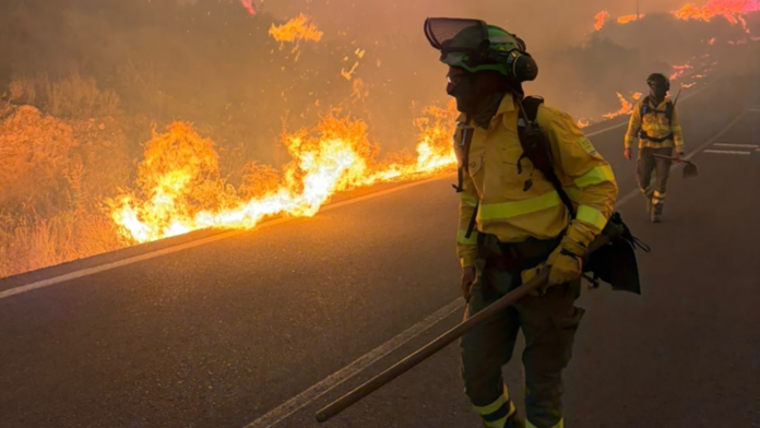 7televalencia-incendio-los-gallardos Cómo actuar para sobrevivir en un gran incendio forestal como el de Los Gallardos