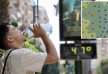 MAPA DE CALOR | Valencia se asfixia con 50 grados de sensación térmica Mapa del calor: Valencia se asfixia con una sensación térmica hasta los 50 grados