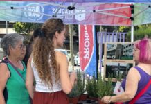 La campanya ‘Alaquàs Pròxima, Segura i Neta’ recorre diferents zones del municipi 'Alaquàs Pròxima, Segura i Neta'