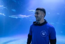 Ferran Torres tiene un tiburón en Valencia