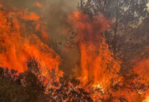 Impactantes vídeos de los bomberos luchando contra el fuego de Vall d’Uixó