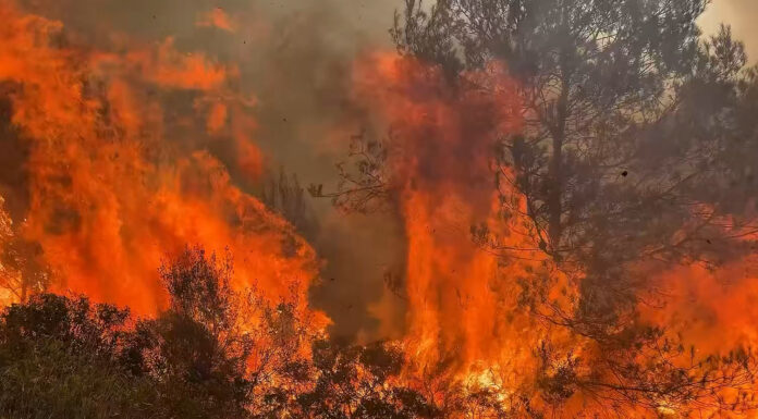 Impactantes vídeos de los bomberos luchando contra el fuego de Vall d’Uixó