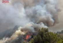 Un vídeo muestra como un hombre sale corriendo en el posible inicio del fuego en Vall Uixó