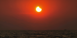 El boom de las embarcaciones en el mar y en l’Albufera para ver el eclipse