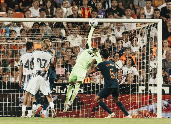 20260808vcf-newcastle029web