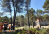 Declaran el nivel 3 de preemergencia frente al riesgo de incendios