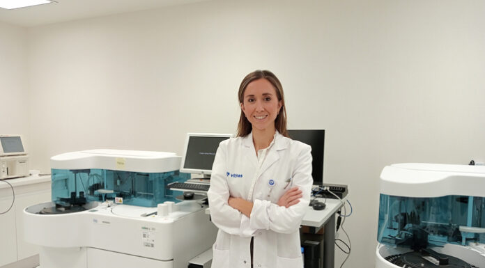 Picaduras de abejas y avispas: cuándo acudir a urgencias