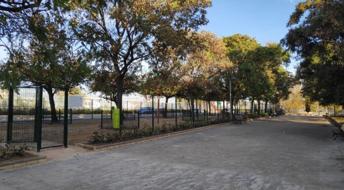 Un joven comete dos agresiones sexuales a una mujer sin techo en un descampado de Valencia