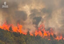 Situación complicada en el incendio en el corazón de la Serra Calderona