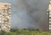 Un incendio en El Saler obliga a desalojar una torre de viviendas y cortar la CV-500 Incendio en el Saler / EFE