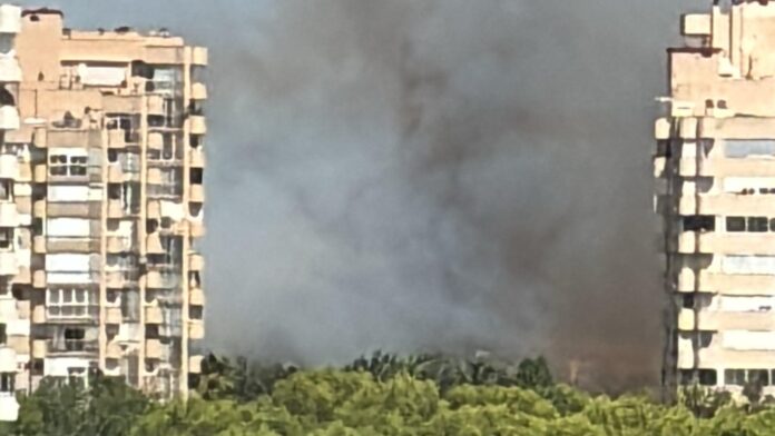 7televalencia-incendio-saler Incendio en el Saler / EFE
