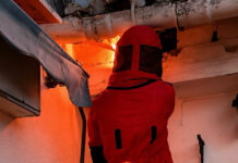 Los bomberos evitan una plaga de avispas Vespa orientalis en un edificio de Valencia