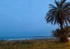 Aparece el cadáver de una mujer de 60 años flotando en la playa de Puçol