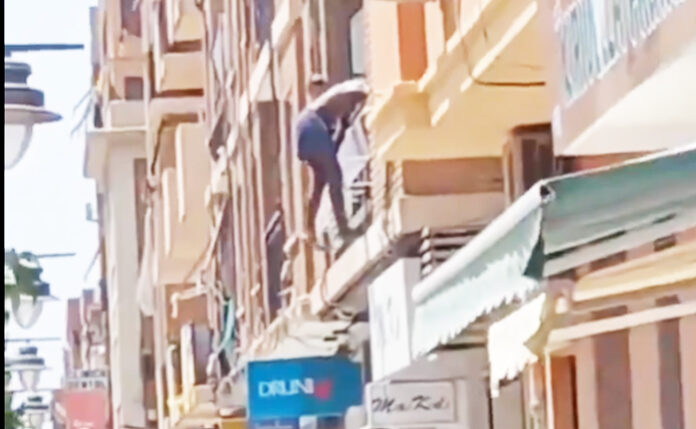 sal1