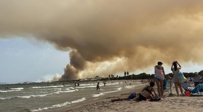 Imágenes más impactantes del incendio de El Saler