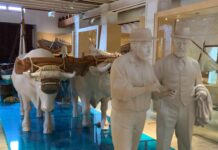 El Cabanyal estrena Museu de la Mar: abre el primer museo municipal de València en 20 años