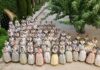 Comienzan las pruebas para las 146 candidatas a Falleras Mayores de València Imagen del grupo de candidata en el museo de la Seda / JCF - fotofilmax