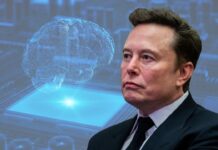¿La IA podría acabar con la humanidad? Los 4 gigantes tecnológicos piden «frenar» su desarrollo Elon Musk respalda la idea de frenar el desarrollo de la inteligencia artificial