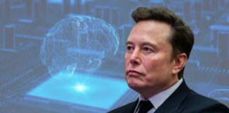 Elon Musk respalda la idea de frenar el desarrollo de la inteligencia artificial