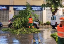 Paterna recupera la normalitat després d’una jornada de pluges intenses amb més de 70 incidències ateses i 82 litres/m² acumulats