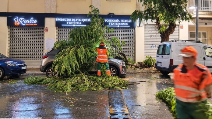 Intervenciones de los servicios municipales para recuperar la normalidad en Paterna