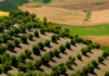 Comienza el período para contratar el seguro de cultivos herbáceos extensivos para la cosecha 2027 Comienza el período para contratar el seguro de cultivos herbáceos extensivos para la cosecha 2027