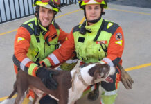 Rescatan a un perro atrapado en un muro de Beniparrell