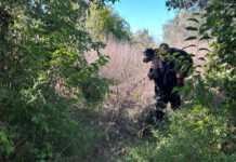 Rescatan a un pastor alemán de avanzada edad que se encontraba atrapado en las Cuevas de Baiba de Buñol